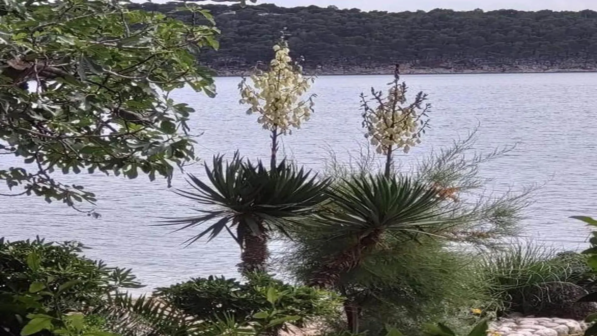 Apartment With Shared Jacuzzi In Rab Island Banjol 0*,